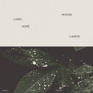 葉山さゆり无码影片
