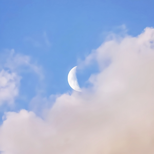 葉山さゆり无码影片
